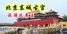 黄色深夜操逼网站中国北京-东城古宫旅游风景区